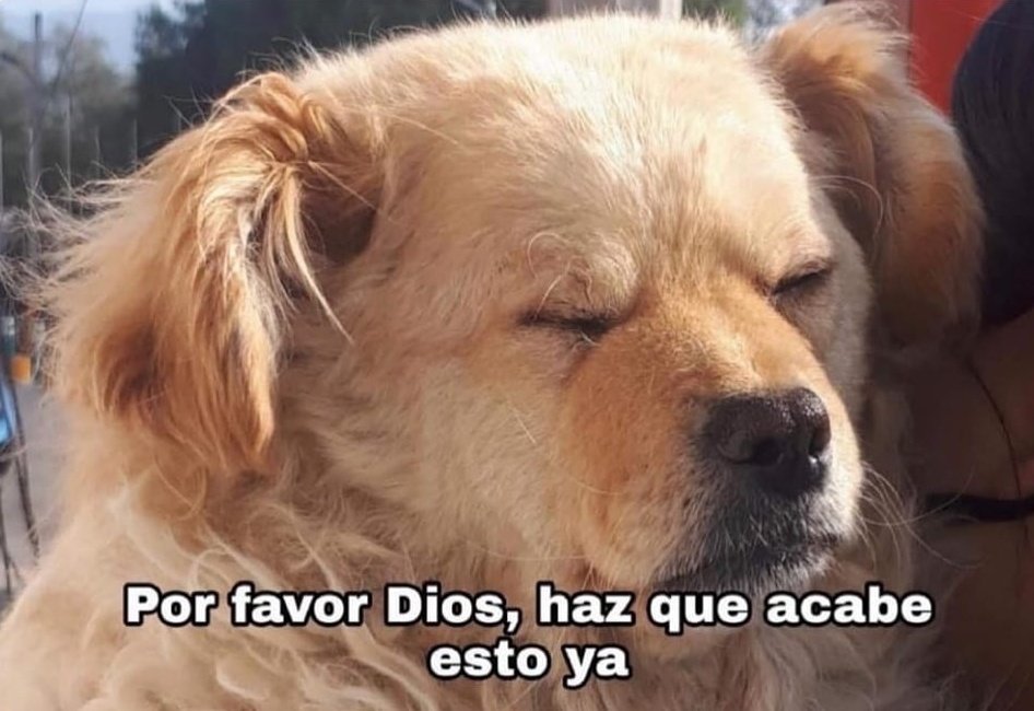 saoirseG0deo's tweet photo. Yo viendo que ante el crecimiento de las iglesias evangélicas en América Latina, el izquierdismo muy abajo y a la izquierda está llamando a defender el catolicismo (su rama progresista y la Teología de la Liberación), como respuesta. https://t.co/wguxqF0Mkv