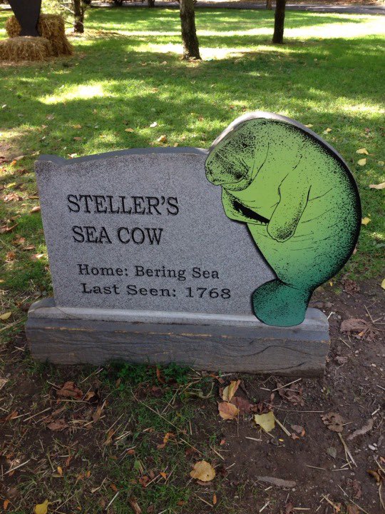alliharvard's tweet photo. The Extinct Species Graveyard at the Bronx Zoo in New York https://t.co/V4scF5K5vA