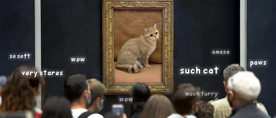 TheStareCat's tweet photo. @DexFi_ 👀 https://t.co/h80AxcZt54