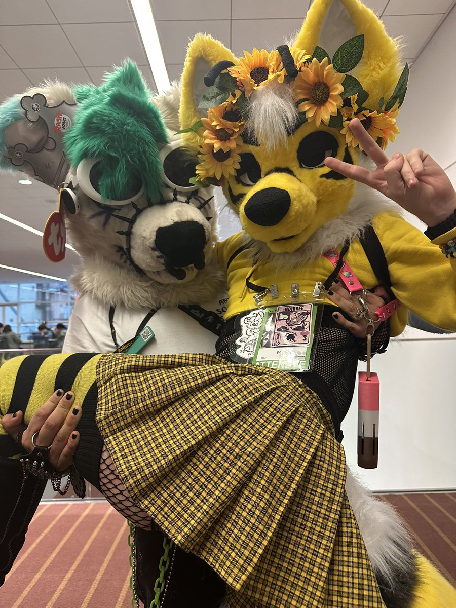 _Durie's tweet photo. Caught me a Bee
[@pollendog ]💛🌻🐝 https://t.co/xmZtmnWB43