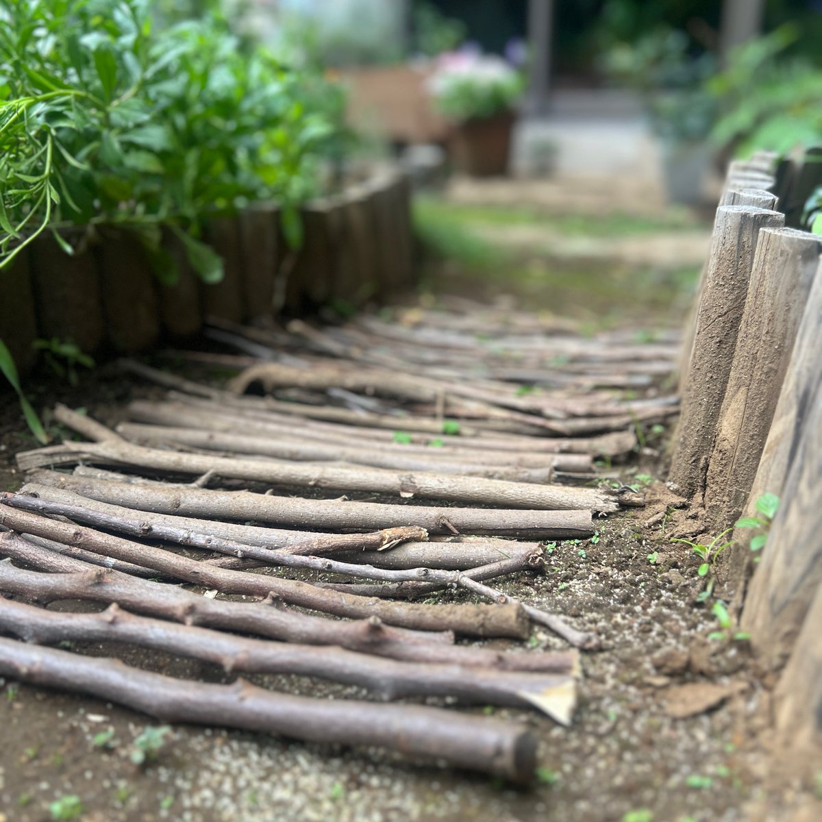 gr_goodrack's tweet photo. 今後の計画を立てたり、事務作業、頭を使うことに行き詰まったので息抜き！

ずっと処理したかった枝を小道にする作業に没頭。 https://t.co/aCdEyE2RMq