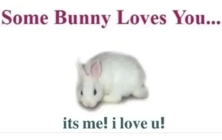 animalpopular9's tweet photo. Love you bunny! https://t.co/M4814PABZs
