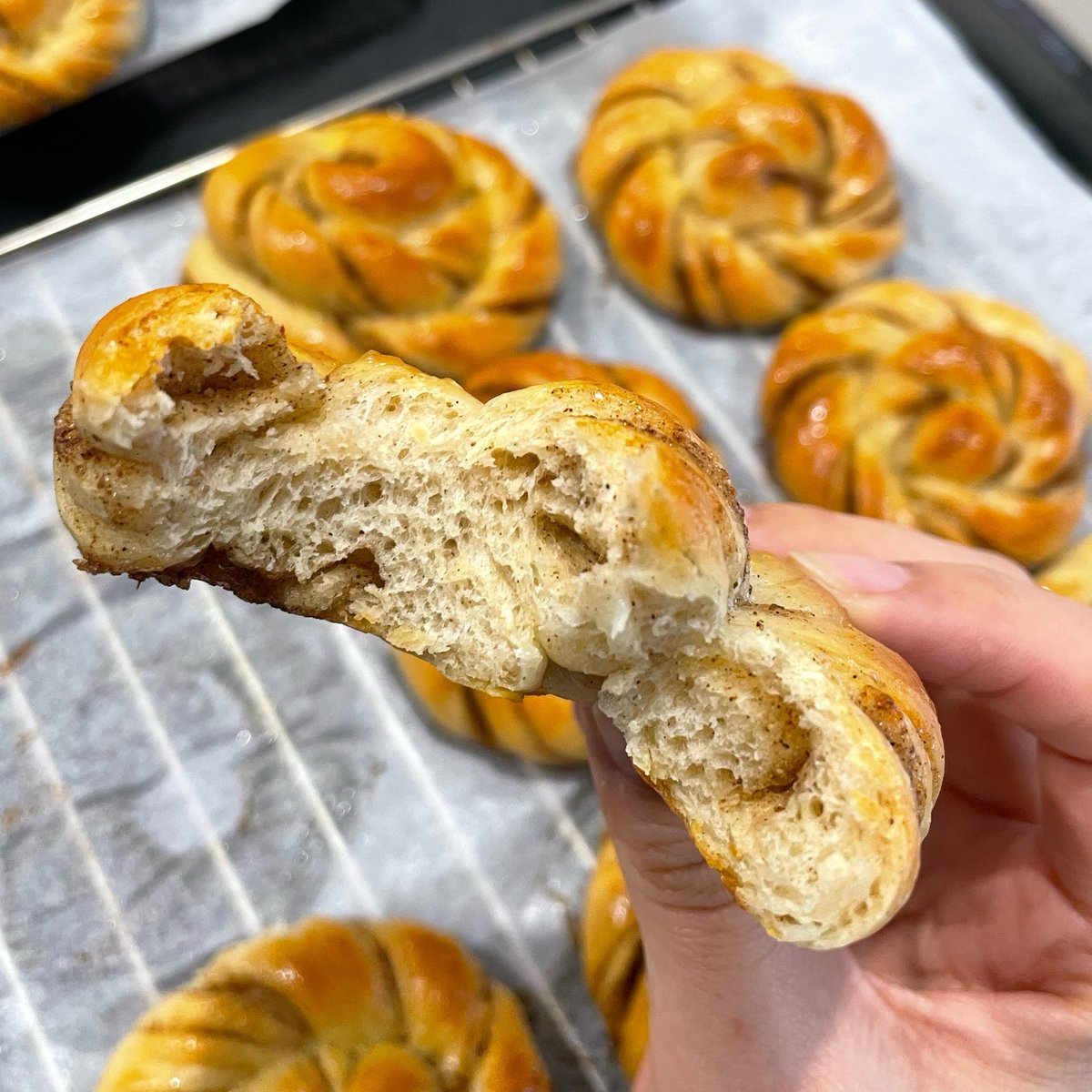Just_Marsian's tweet photo. kanelbullar https://t.co/a8SPZKmtCa