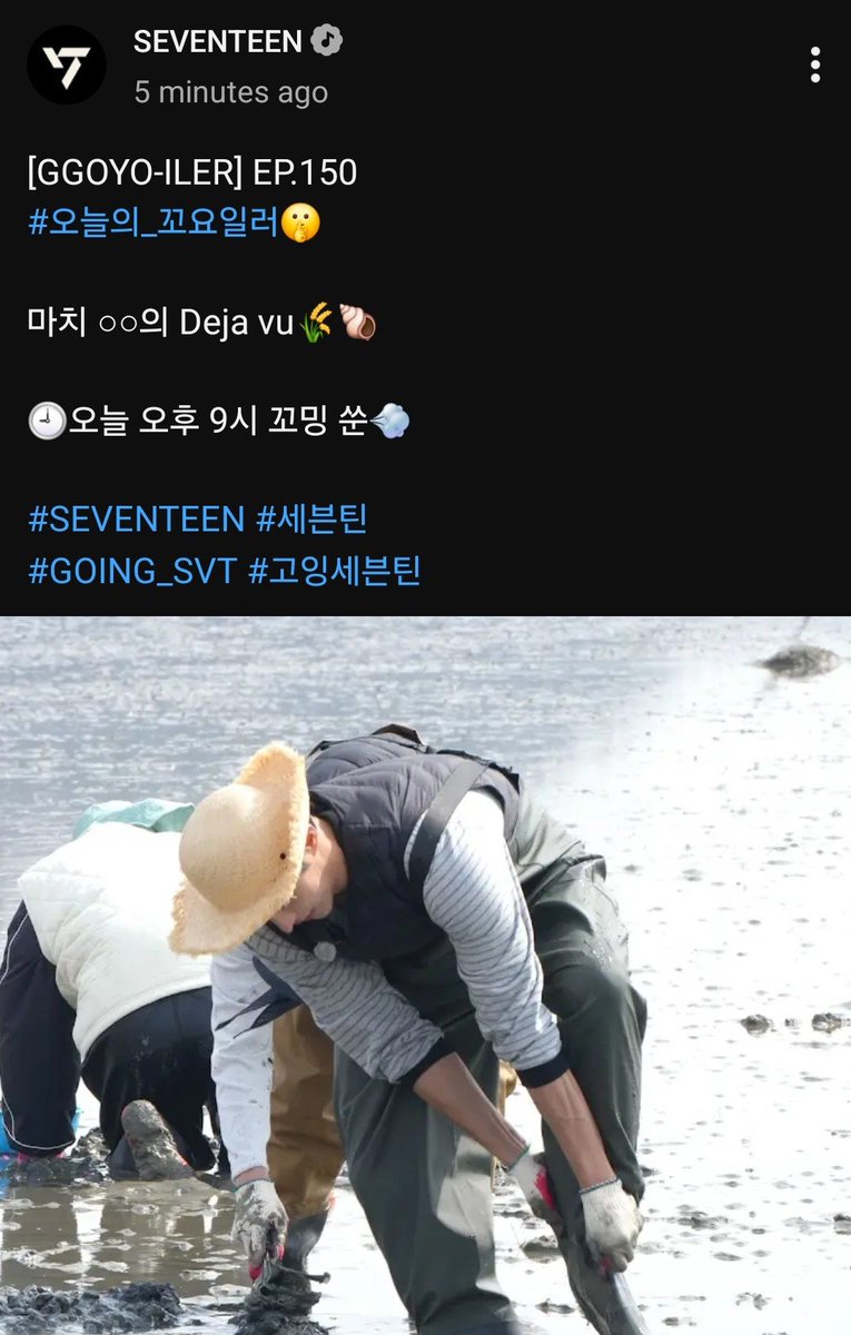 CheolsNoona's tweet photo. Today's Going Seventeen Ggoyo Iler!

Looks like theyre clam digging 😭 https://t.co/JbbQR5QxPT