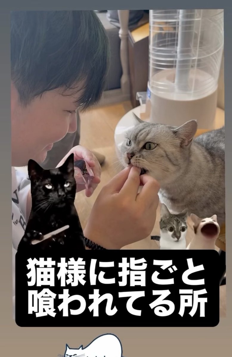 to4g21's tweet photo. 最近はインスタ派🙌🏻

https://t.co/4EPUjFlOFs https://t.co/iJLRyDNnSd
