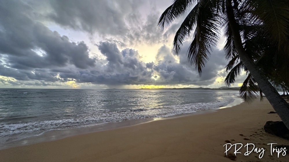 PRDayTrips's tweet photo. Good Morning from #PuertoRico - Calm Morning #estaesmiisla https://t.co/JPSfc3bXta