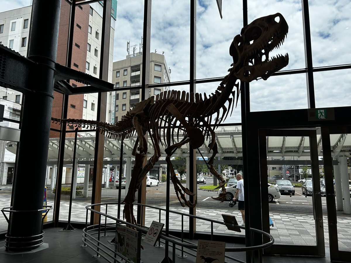 uta_raptor's tweet photo. 福井だ、わっしょい🦖
#火曜日は化石の日 https://t.co/xXr1cs2pDE