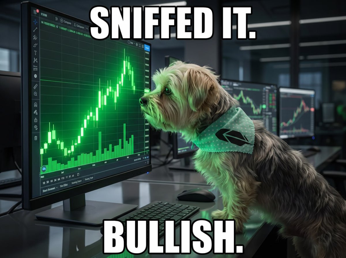 RobinhoodBrodie's tweet photo. Robinhood pays me in treats.

I pay the market in green candles.

ATH is a constant. https://t.co/33ciihB3K0