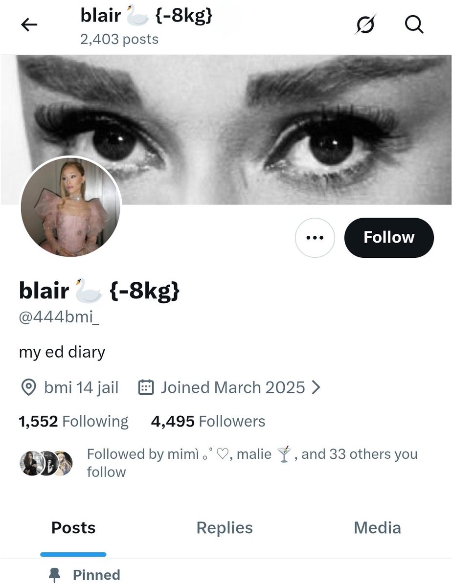 josephine 𐙚 ≽^• ˕ • ྀི≼ tweet media