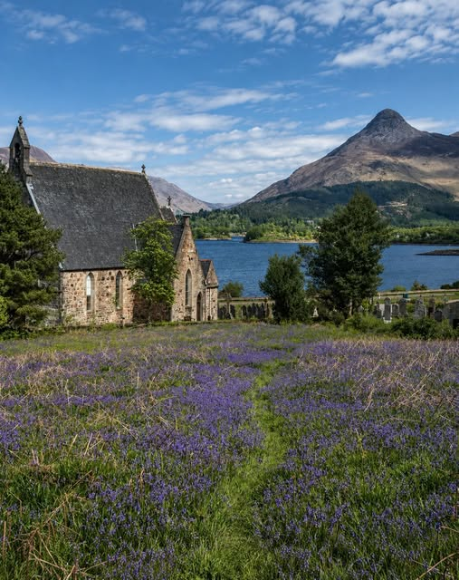 BarssFreddie's tweet photo. Bluebells at St Johns Church in Ballachulish on the banks of Loch Leven . One of my fav locations for weekend break 👌🏴󠁧󠁢󠁳󠁣󠁴󠁿 pic c.o. Mystic Scotland . https://t.co/riPXR0OCsO