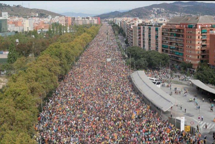 SanzBartra's tweet photo. Ells saben que res no ha generat tanta il·lusió col·lectiva a Catalunya com la idea de deixar de ser espanyols per la via democràtica. Ho saben de sobres. Per això ens odien i per això no paren de repetir que els catalans som espanyols "lo quieras o no". https://t.co/faTTbkqxW2