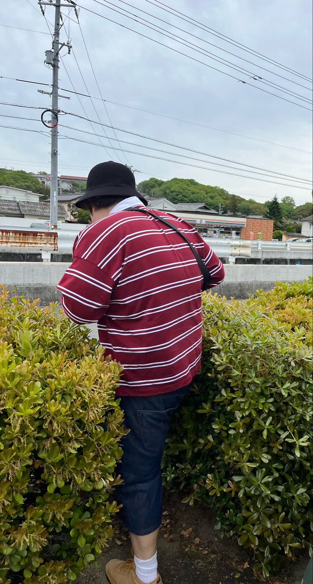 poppopoppoko's tweet photo. 写真見てたら旅行行った時のやつあった。

しみちゃむは急に変なとこからどっか行くよ。
１０ｍ先にランチ見つけて嬉しそう。 https://t.co/SGaE4r9wfT