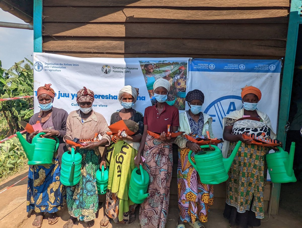 ongdpf1's tweet photo. Distribution d'intrants agricoles – Zone de santé de Mweso
📷 Site de distribution : Muhungu Centre
📷 Période : Du 29 au 30 juin 2026
📷 Cible : 1 485 ménages https://t.co/UAGLt6GmOd