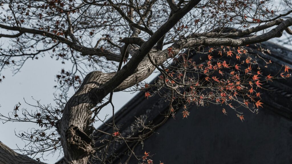 AORoofing's tweet photo. Think landscaping only affects your curb appeal? Think again.  Read our latest blog to learn how a few simple landscaping decisions can help protect your roof for years to come.

https://t.co/FZU1LqZw05 https://t.co/BVeUy5uuZw
