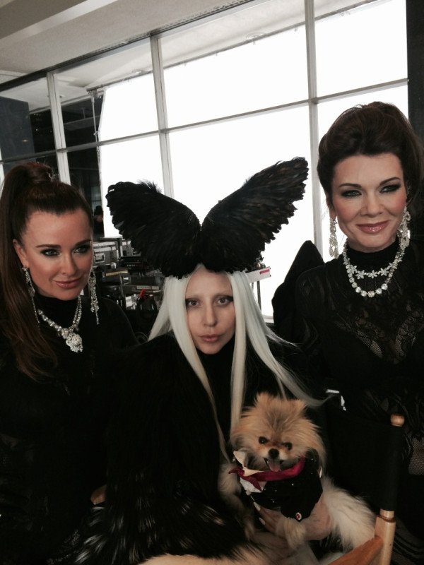evenacari's tweet photo. @thecountessine @ladygaga Esse look é insuperável https://t.co/S6mi0DtxJk