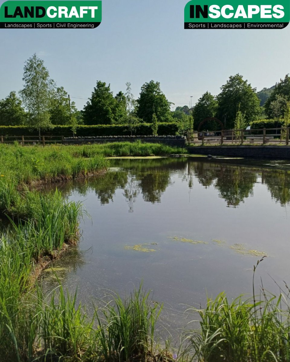 LandcraftUK's tweet photo. 🌳 Beat the heat, stand under a tree! ☀️

When temperatures soar, the coolest place to be might be right under a tree 

Trees provide natural shade, reduce heat, improve air quality and support local wildlife while helping combat urban heat

@Inscapesonline https://t.co/FW6RPdhgOR