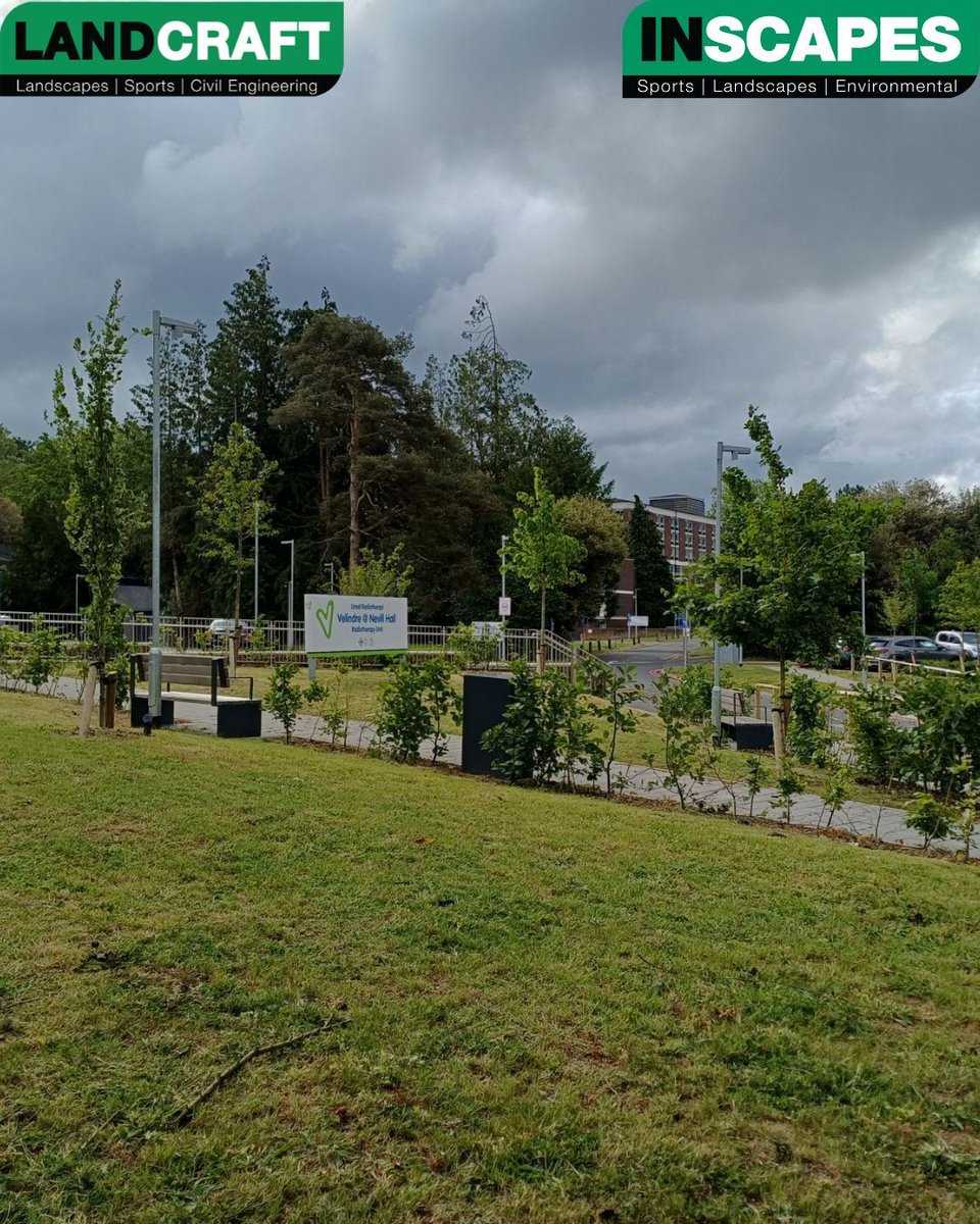 LandcraftUK's tweet photo. 🌳 Beat the heat, stand under a tree! ☀️

When temperatures soar, the coolest place to be might be right under a tree 

Trees provide natural shade, reduce heat, improve air quality and support local wildlife while helping combat urban heat

@Inscapesonline https://t.co/FW6RPdhgOR