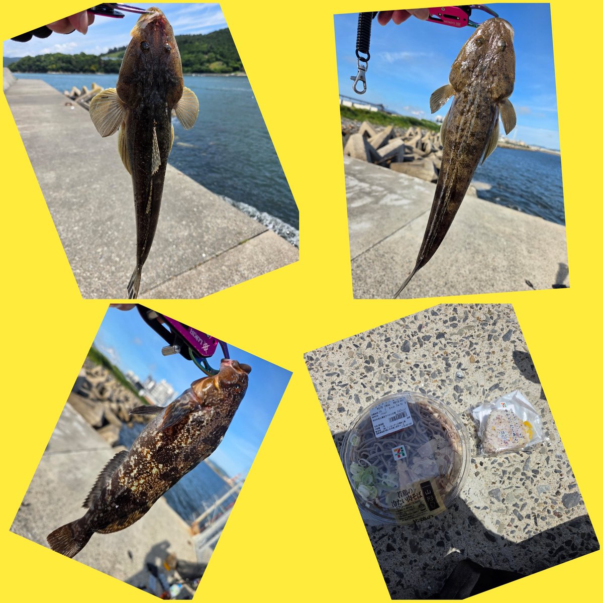 666_jekyll's tweet photo. ゆうくんとめっちゃ久々のfishing😽☀️
とんでもなく渋かったけど楽しかった🎶 https://t.co/WU1tsZ9Wle