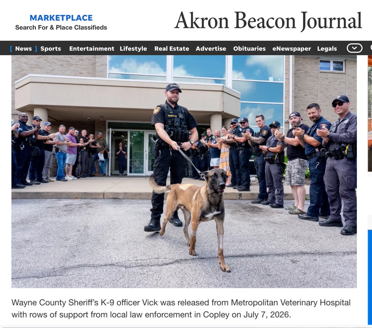 ChazDogs's tweet photo. Wayne County K9 Vick who was shot by a POS was released from hospital yesterday. Can’t keep a Malinois down. Godspeed Vick. https://t.co/0qnfYyMJ0L