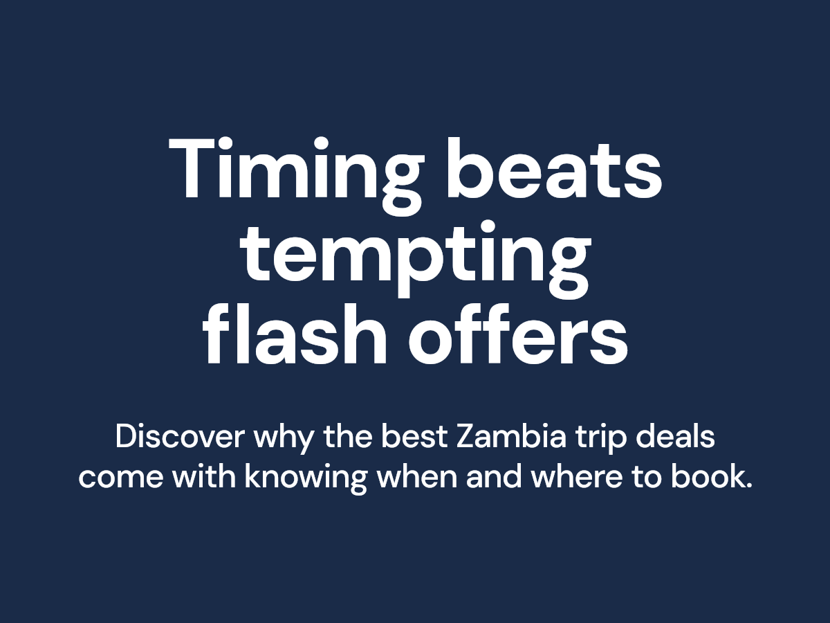 VisitZambia's tweet photo. Flash offers for Zambia can look tempting, but timing matters. Real deals come from booking in the right season. Plan smart and secure your ideal stay and safari. Start your journey today

sales@visitzambia.co.zm 0026 0967540426 https://t.co/B89dJD4bqd #VisitZambia https://t.co/qSliZCZgs8