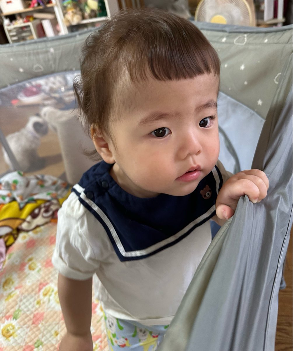 minghan07051's tweet photo. 家族みんなから前髪不評でした笑笑 https://t.co/xWqyS5Sk5v