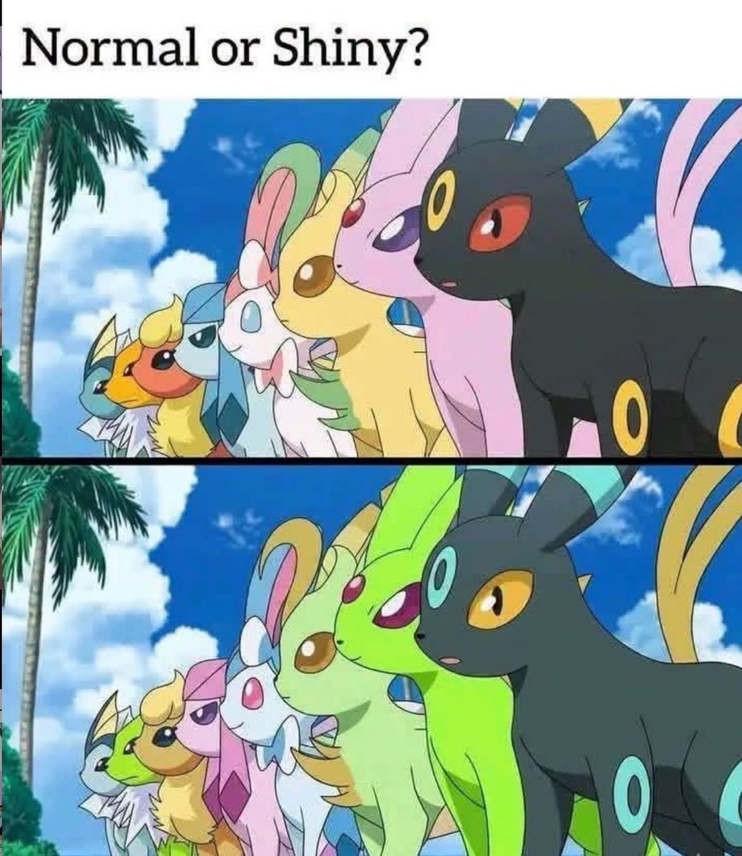 Pokémon Perfect Shots tweet media