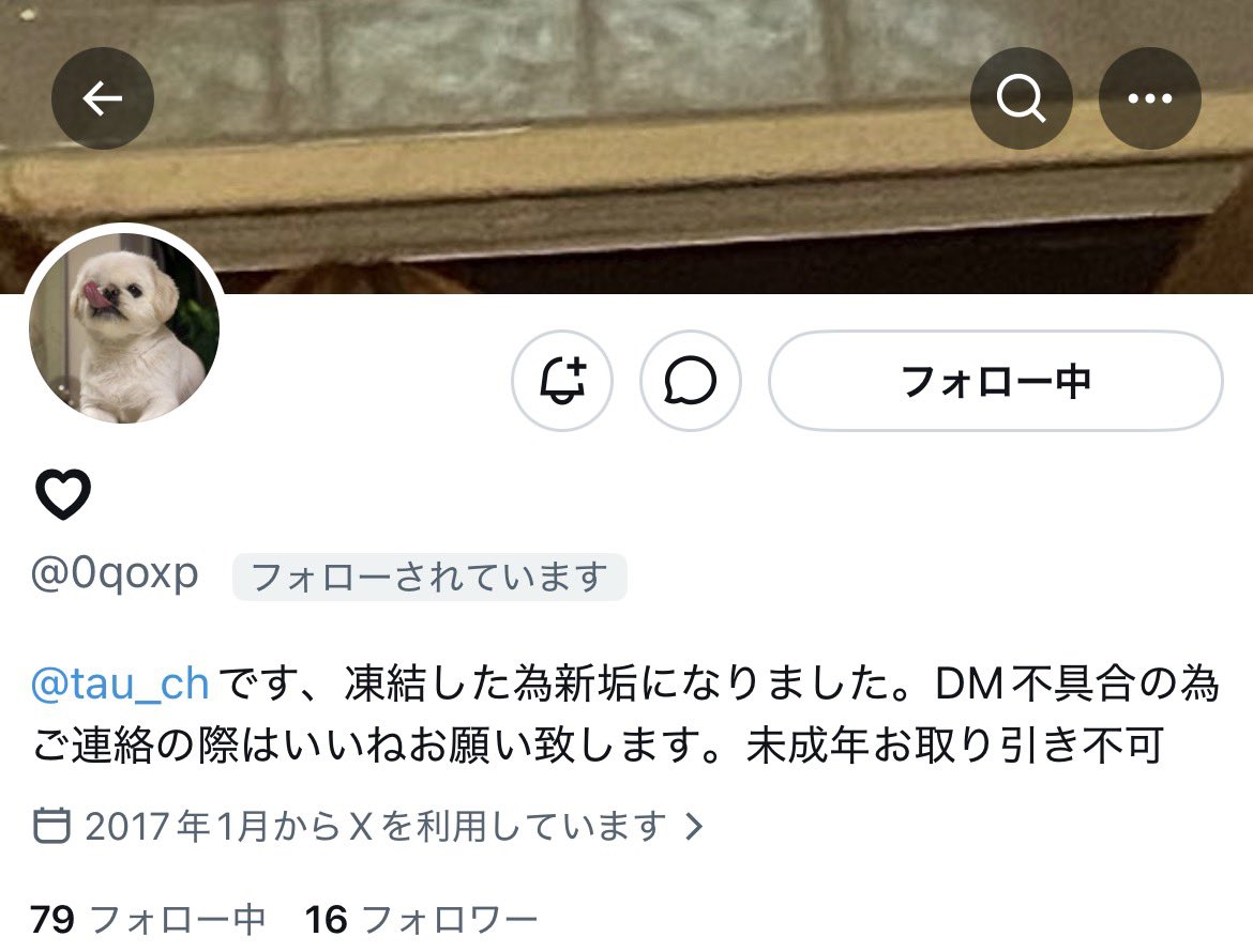 🫐 tweet media