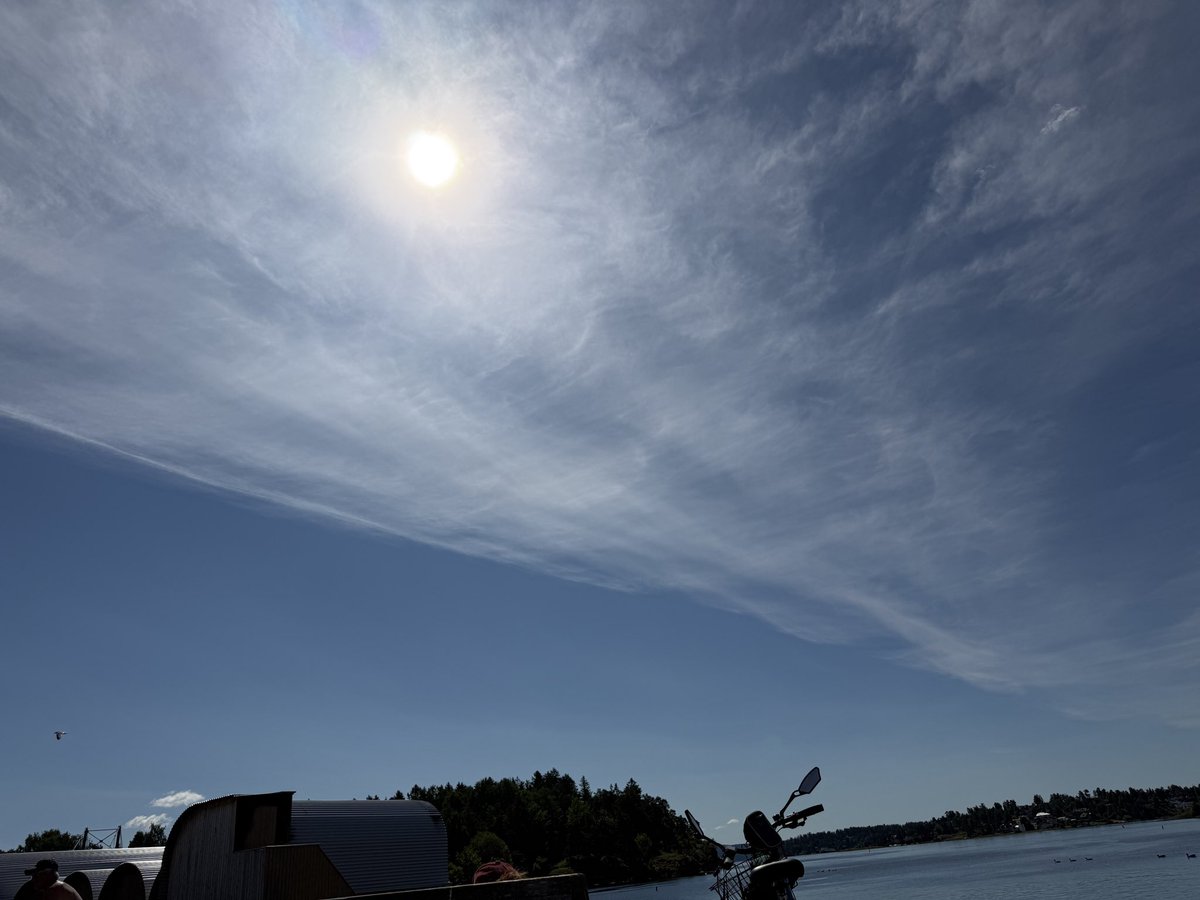 Chan_1701's tweet photo. @chatswithem Norway today 08.07.2026!🇳🇴🤬 https://t.co/ErlJxTnsid