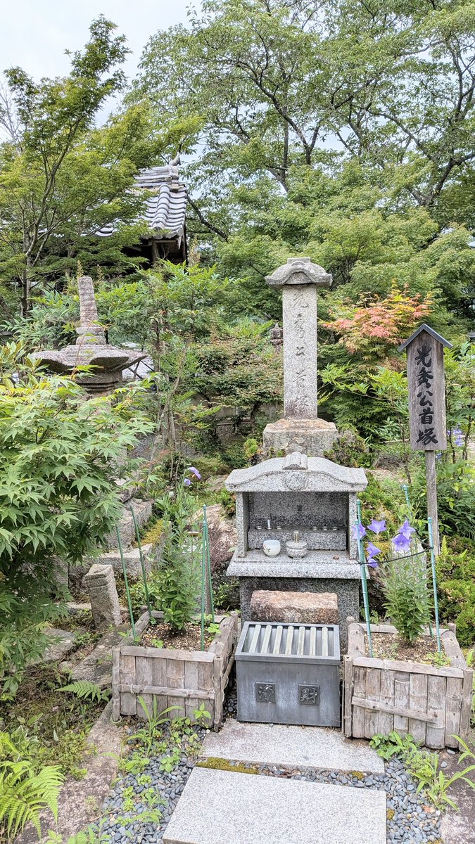 GINkikyo's tweet photo. 谷性寺へ行きました☺️
「桔梗」私のハンネで愛��していますが、子供の時、桔梗の花と花言葉を知り、それ以来ずっと桔梗が大好きです。
そんな桔梗が沢山咲いてると思い遠方ながらも行きましたが、期待程咲いていなかったかな？
次は静岡の‘’桔梗寺‘’行こうかな⁉️😁
＃谷性寺
＃明智光秀首塚
＃桔梗の里 https://t.co/DpRcstUcVs
