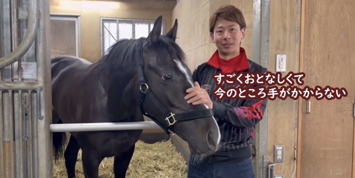 9cumber_oju's tweet photo. 【これまでのタクミオジュウ】
「でしゃばり長男」→一族伝統立ち上がり→"今のところ"おとなしい→追い切り中の横目

ステゴ特有の賢さありそうなタイプだ… https://t.co/xQ7txsxQdq