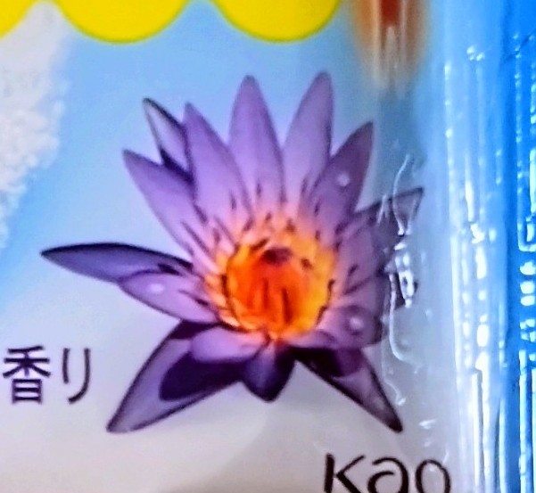 athine_pkmz's tweet photo. 何回見てもスターミーにしか見えない https://t.co/ecZJuS5CHf