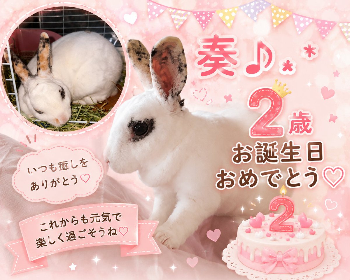 rabirin_n's tweet photo. 奏♬.*ﾟ
本日
2歳になりました🎂✨
おてんばで甘えん坊の奏
ずっと元気でそばにいてね🍀.*

君たちがいるからがんばれる🩷 https://t.co/7oagEIIuhx