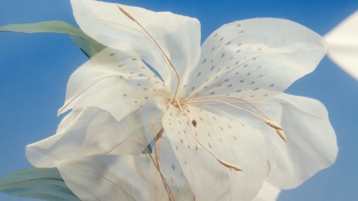 csbshour's tweet photo. セツナハナビ (Setsuna Hanabi)
Concept Clip 'Bloom'
 #SOOBIN #수빈 https://t.co/DcKrnn9yAl