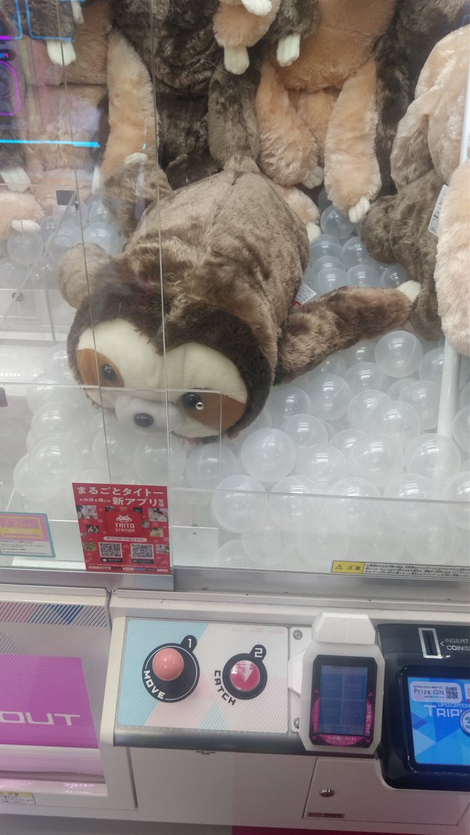hVAD8BH7uEHHTGr's tweet photo. 試しに200円(1回)やってみたら取れそうだったからやったら600円で取れてしまいました💦
誕生日プレゼント増やしてごめんね😂
#SAiNA #さりなのBIGLOVE
#SAiNA生誕祭2026 https://t.co/TI1wY2TNGt