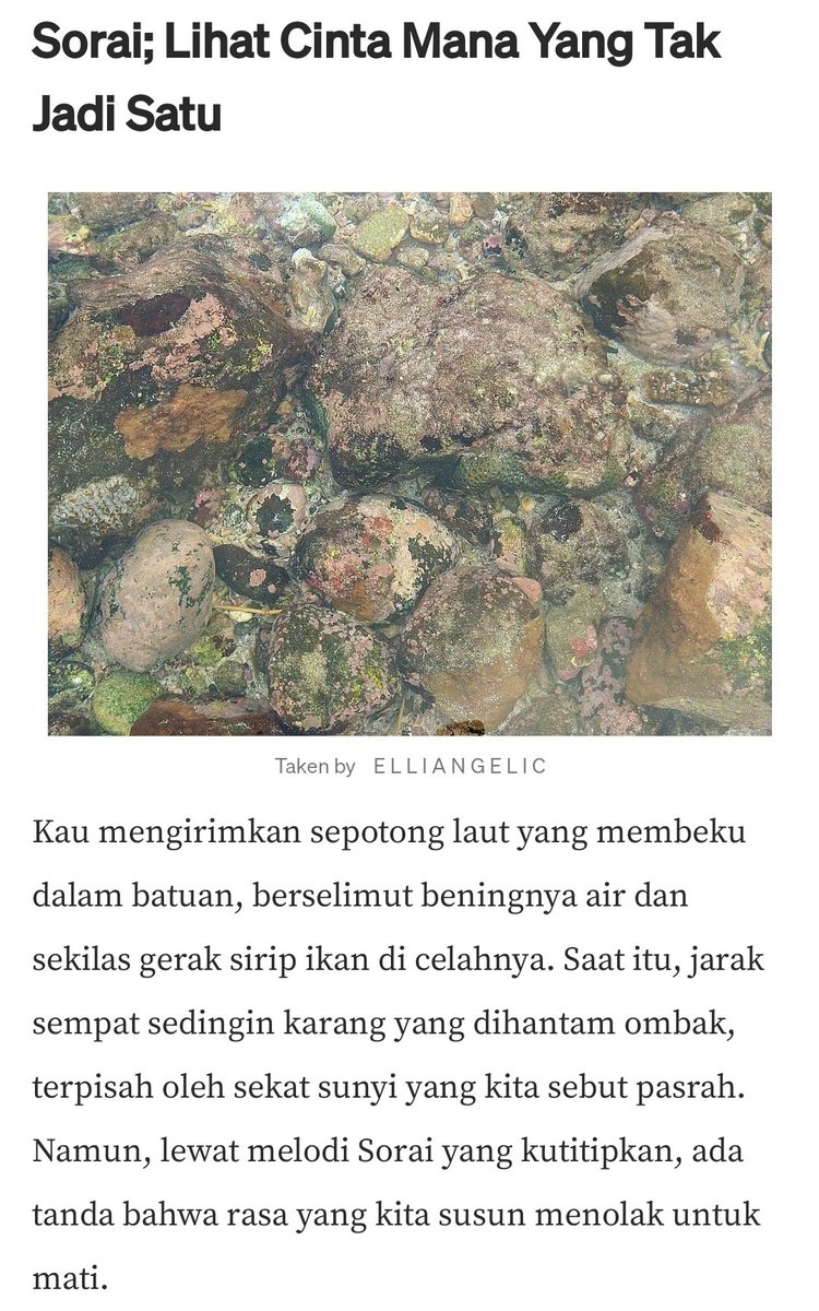 Terapikanasin's tweet photo. Isi hati #Taeshan setelah rujuk. https://t.co/b7ca2qRwSc