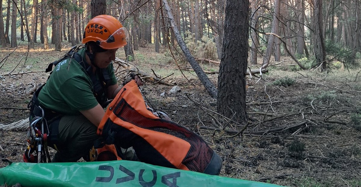 AAMM_And's tweet photo. 🦅 Final feliz para una joven águila calzada

Agentes Medioambientales de Sierra Nevada detectaron la caída de un nido con su único pollo.

La UVCA reconstruyó y aseguró el nido, devolviendo la cría a su hogar.

🌿 Sus progenitores continúan alimentándola con normalidad. https://t.co/WZRuCd0krd