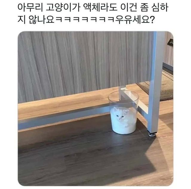 sattosi84's tweet photo. 고양이는 액체인가? 
터미네이터 T1000일지 모른다 https://t.co/iTg1sqvB2B