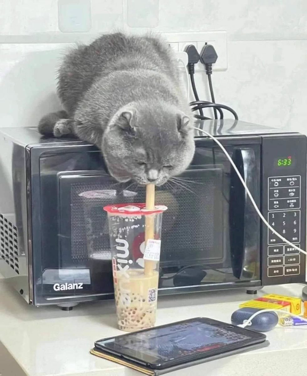 cutecorestar's tweet photo. - https://t.co/NJIBMCwdcP