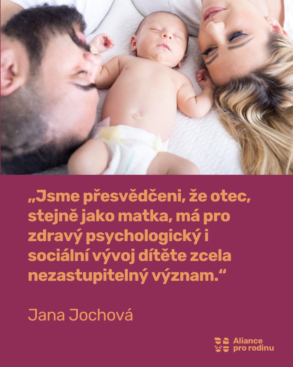 Aliance pro rodinu tweet media