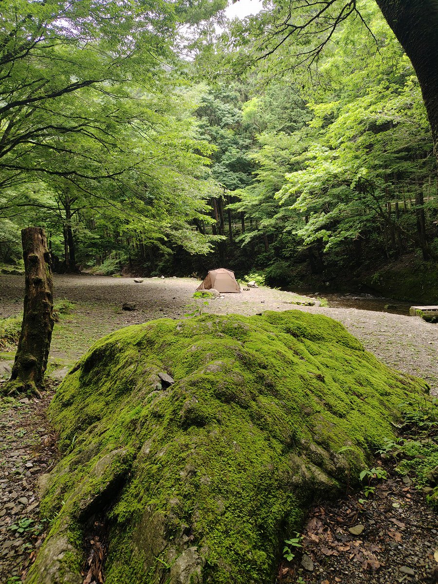 QR_Z_camp's tweet photo. 行って見たいキャンプ場の一つだった大鳩園まで、片道4時間かけて行ってきました💦
埼玉県飯能市、旧名栗川の上流に位置するここは、大自然を満喫するのに最高の場所でした😌

#ソロキャンプ
#大鳩園キャンプ場 https://t.co/Mk8ifQKLvD