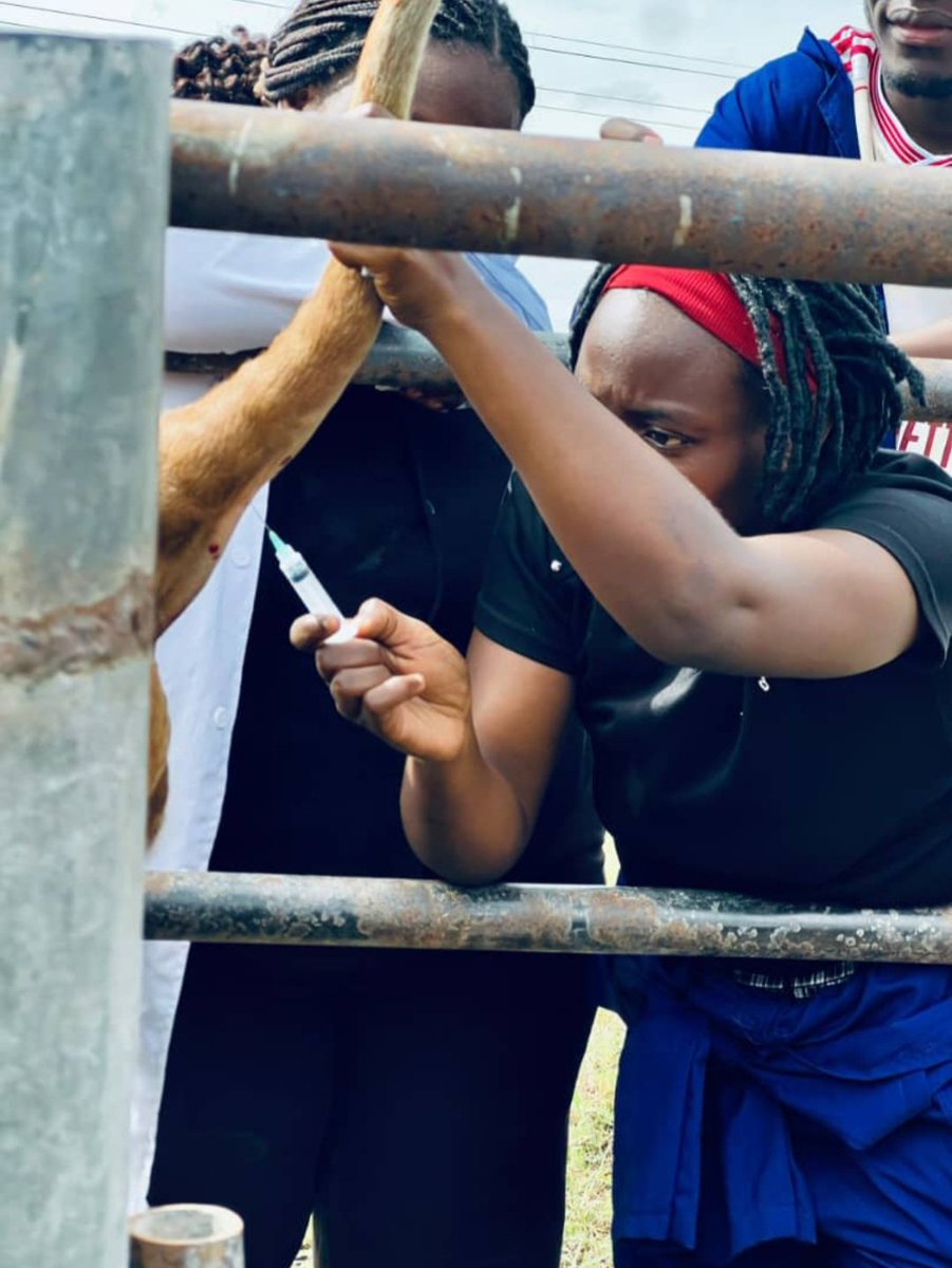 BEAZINE ZJ Celeb wa Mbarara tweet media