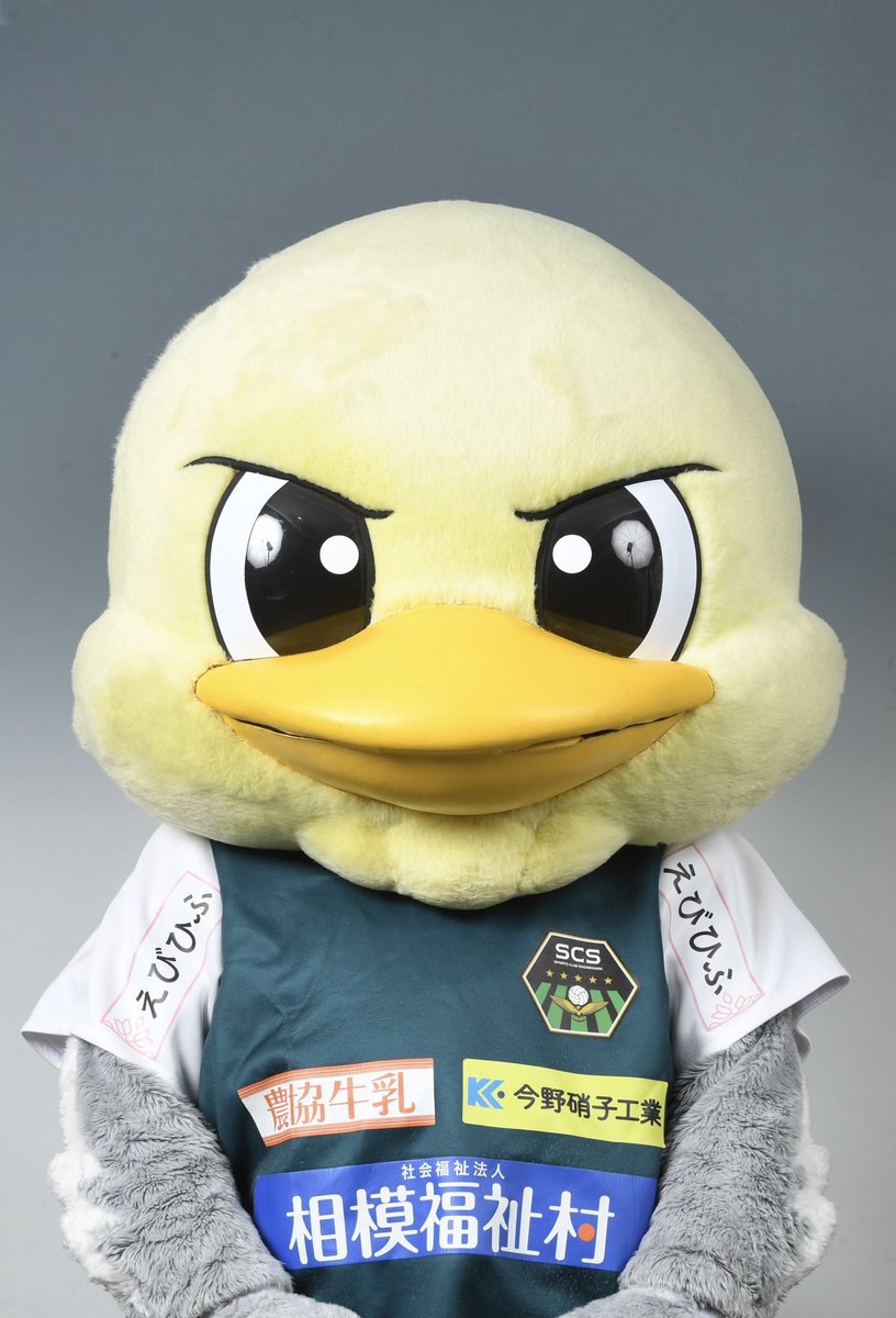 onegamity's tweet photo. 26/27シーズンの顔写真を撮ったよ"ε(`•⊖•´)з"#SC相模原 #ガミティ https://t.co/6AWFKfdsjY