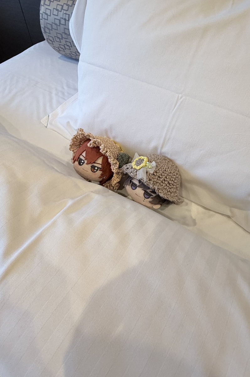 aova_090's tweet photo. 🧱「帽子のまま眠るのって変だな！」
☁️「そうですね」 https://t.co/sfwnL1SvU0