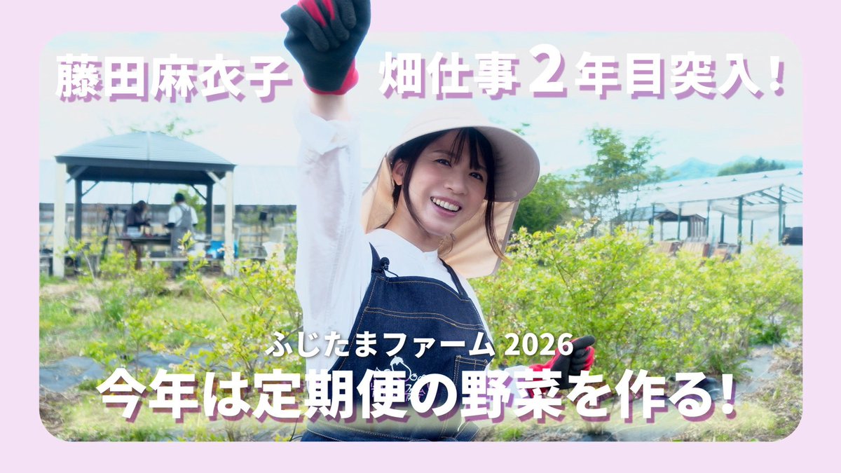 藤田麻衣子 (@Fujita_Maiko) / Posts / X