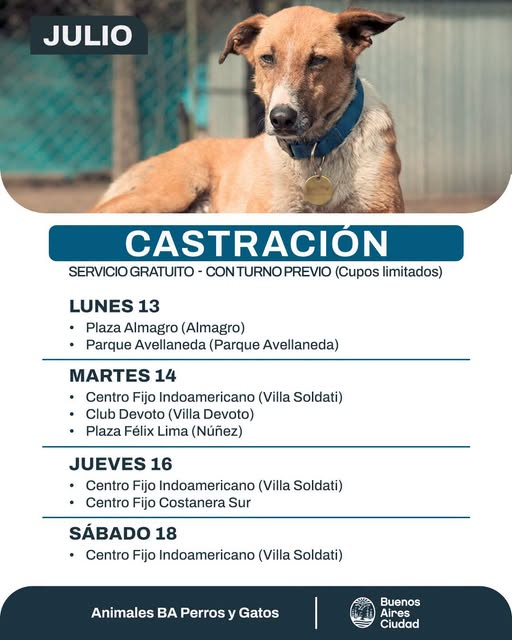 marcelapgodoy's tweet photo. ATENCION MASCOTEROS
CASTRACION GRATUITA PREVIO TURNO https://t.co/bqPqAb6XtF
