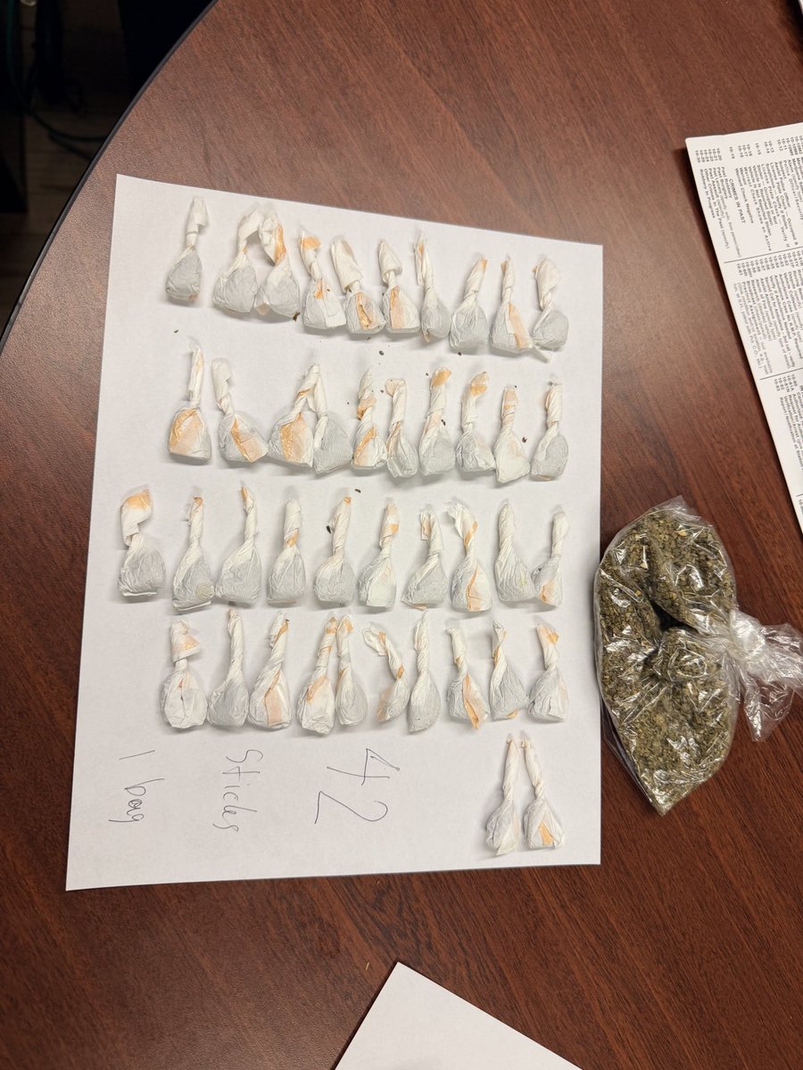 NYPD5Pct's tweet photo. A drug dealer arrested at SDR Park. Thanks to continued enforcement efforts, more illegal drugs have been removed from our community. We’re committed to keeping the 5th Precinct safer by addressing criminal activity and helping reclaim our parks for the families and resident https://t.co/voWKpDbuXq