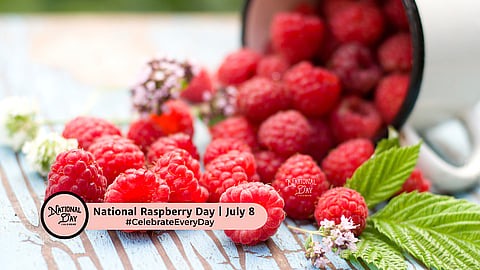 JordanWill46355's tweet photo. Folks picked up raspberries from the vineyard #NationalRaspberryDay https://t.co/9VNL5vhSHD