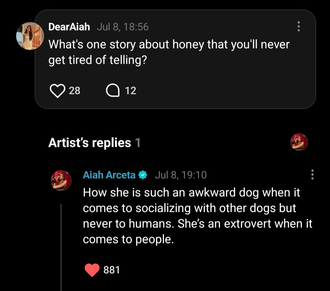 ultmaraiah's tweet photo. Remember that one video where Aiah said that Honey only likes golden retrievers tsaka si Bambi lang 😭 https://t.co/msQamnTbA7