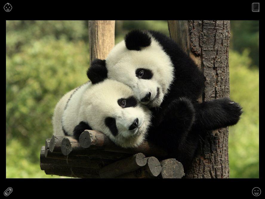 jd_y_17's tweet photo. 随着时间的推移，Lila 的奶茶探索之旅不断深入。她创办了一个 YouTube 频道，通过发布探店视频向粉丝分享自己的见解与推荐。该频道迅速积累了大量关注。请保持善良，始终谦逊。 https://t.co/ZkDK2EFXmV