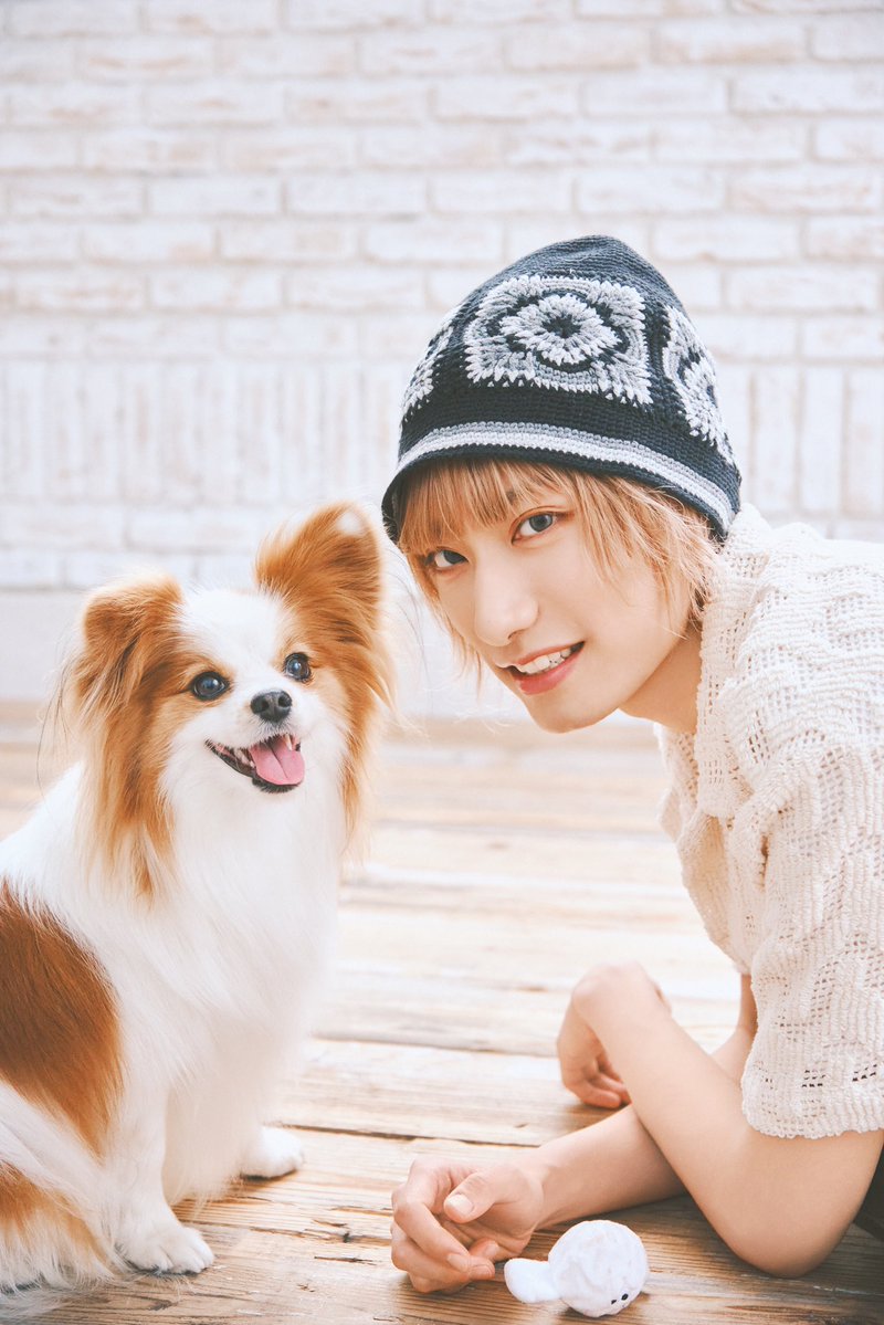 gekkan_wanko's tweet photo. 【特集】SUPER★DRAGON柴崎 楽さんの撮影のお相手は、パピヨンのポチの助くん。長めのヘアとキリッと整った顔が共通点のふたりは、あっという間に打ち解けた様子。「ちょうだい」ポーズを柴崎さんが真似すると嬉しくなったのか、おやつをもらうのも忘れて柴崎さんにくっついたり。抱っこされてニコニコ笑顔を見せてくれたり、終始息ぴったりな姿を見せてくれました。インタビューでは、柴崎家の愛犬話も。ポチの助くんを虜にしていた理由が垣間見えました。

#スパドラ #SUPERDRAGON
#柴崎楽